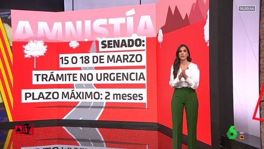 El camino de la ley de amnistía tras su aprobación en el Congreso de los Diputados El camino de la ley de amnistía tras su aprobación en el Congreso de los Diputados