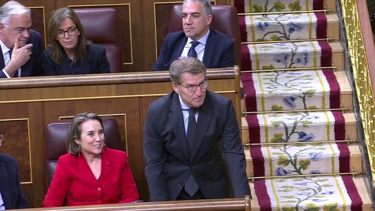 El despiste de Feijóo y el error de un diputado del PP al votar la ley de amnistía El despiste de Feijóo y el error de un diputado del PP al votar la ley de amnistía