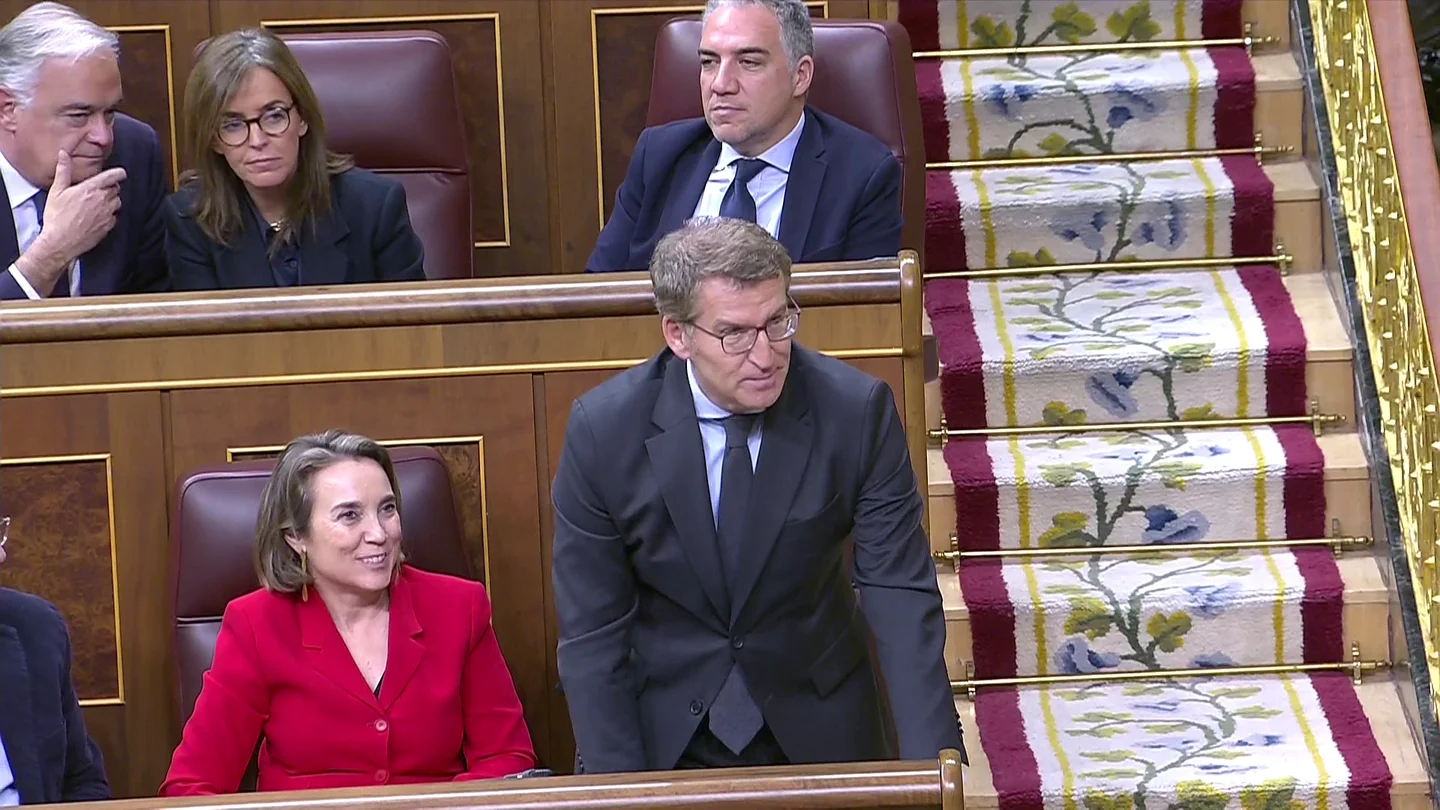 El despiste de Feijóo y el error de un diputado del PP al votar la ley de amnistía El despiste de Feijóo y el error de un diputado del PP al votar la ley de amnistía