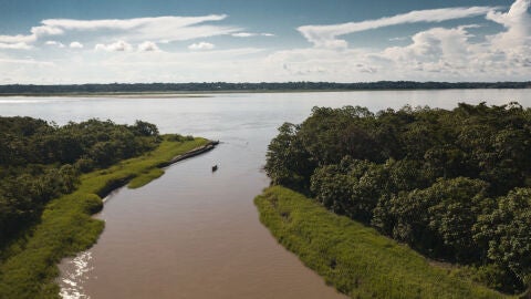 Amazonas