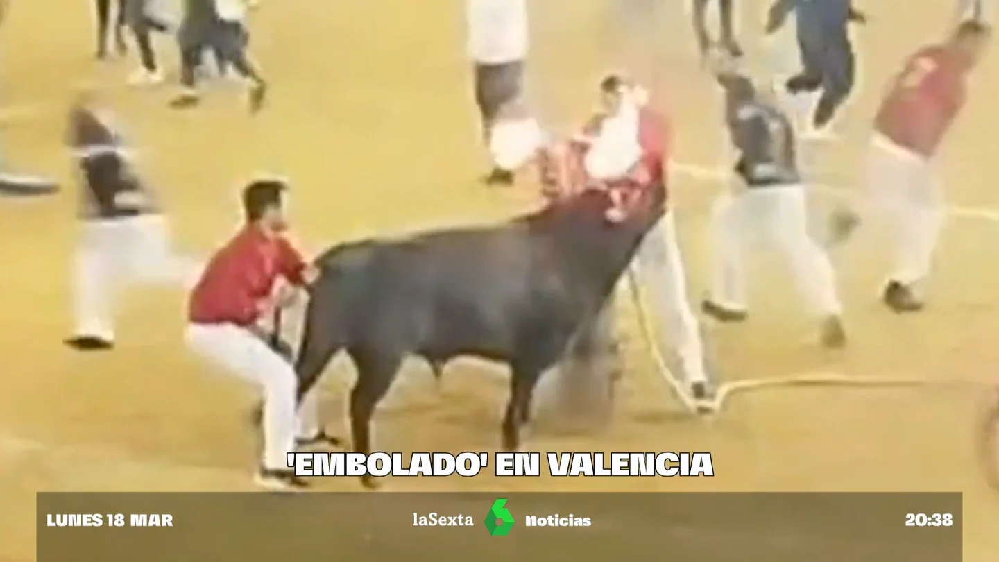 toros valencia toros valencia