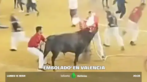 toros valencia