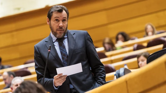 El ministro de Transportes, Óscar Puente, durante una intervención en el Senado El ministro de Transportes, Óscar Puente, durante una intervención en el Senado