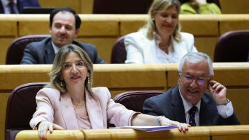 Los senadores del PP Javier Arenas y Alicia García
