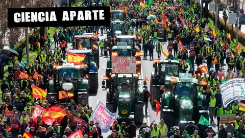 Imagen de las protestas de los agricultores Imagen de las protestas de los agricultores