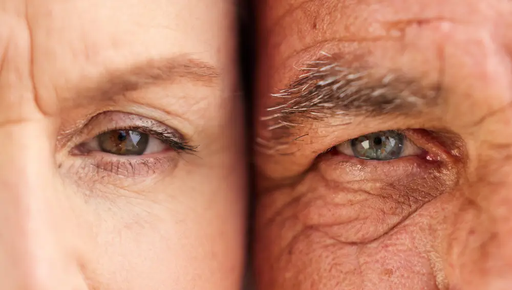 Encuentran relación entre el envejecimiento y la longitud de los genes