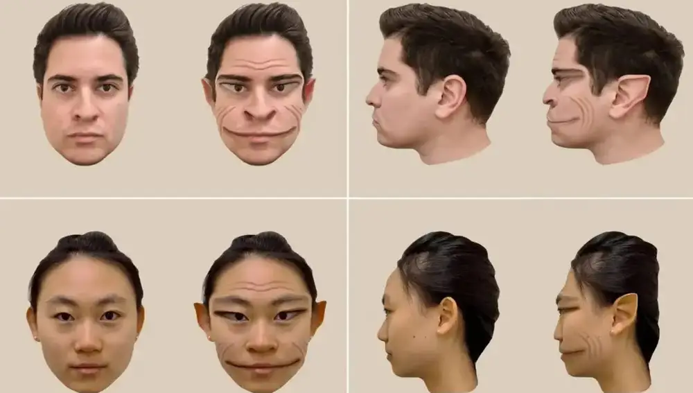 Imágenes generadas por ordenador de las distorsiones de un rostro masculino y un rostro femenino