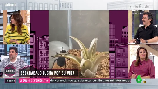 LA ROCA- La respuesta de Nuria Roca a Nacho García: "Se nota que estás de semana santa" LA ROCA- La respuesta de Nuria Roca a Nacho García: "Se nota que estás de semana santa"