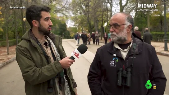 Un ornitólogo advierte sobre el peligro de las pistas de pádel para las aves: "Han supuesto una matanza" Un ornitólogo advierte sobre el peligro de las pistas de pádel para las aves: "Han supuesto una matanza"
