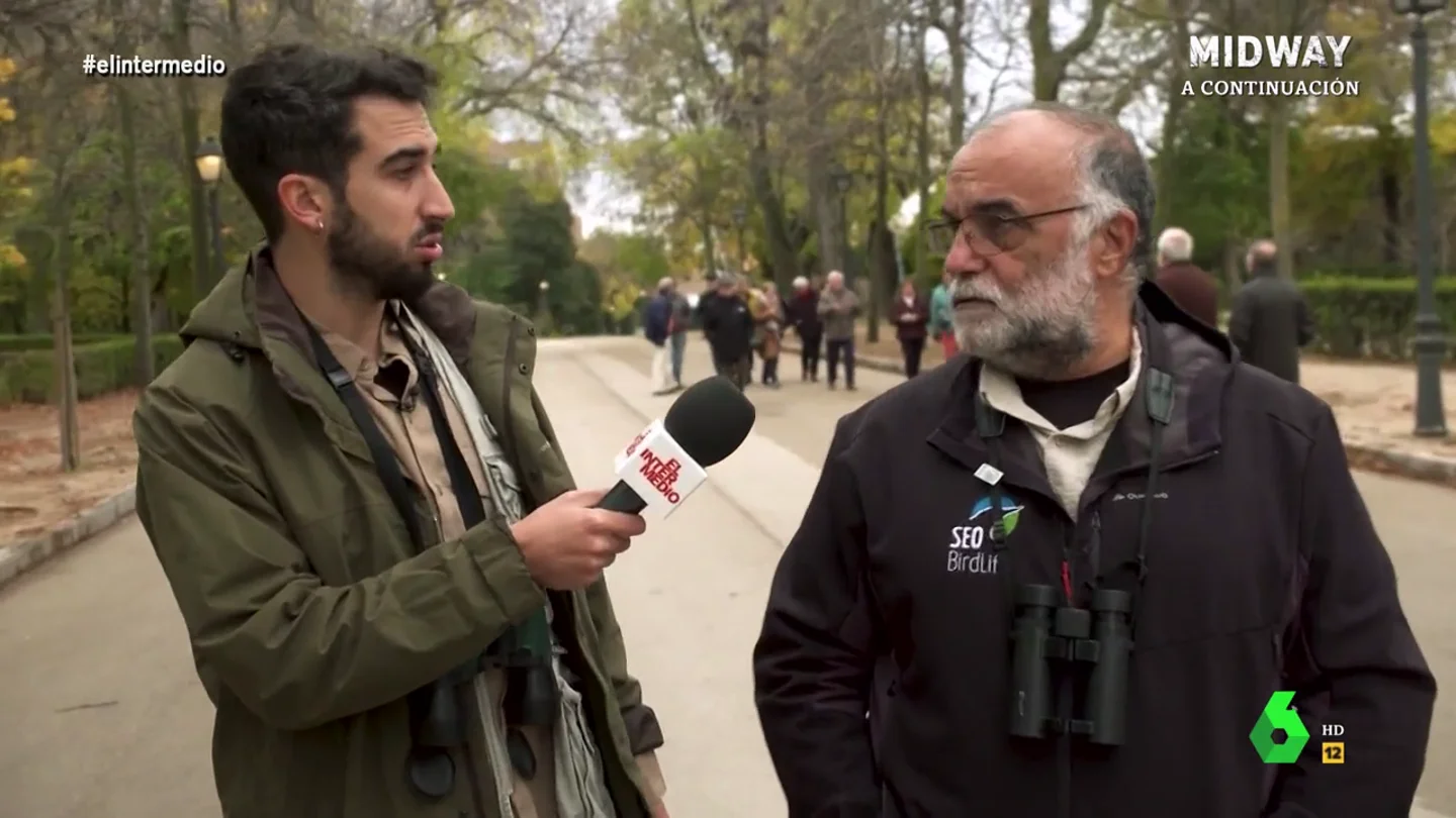 Un ornitólogo advierte sobre el peligro de las pistas de pádel para las aves: "Han supuesto una matanza" Un ornitólogo advierte sobre el peligro de las pistas de pádel para las aves: "Han supuesto una matanza"