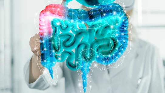 Imagen del aparato digestivo (y del colon) en 3D. Imagen del aparato digestivo (y del colon) en 3D.