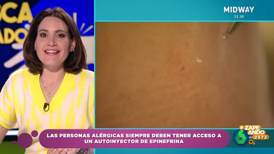 Boticaria García indica cómo debemos actuar ante la picadura de una abeja o una avispa Boticaria García indica cómo debemos actuar ante la picadura de una abeja o una avispa