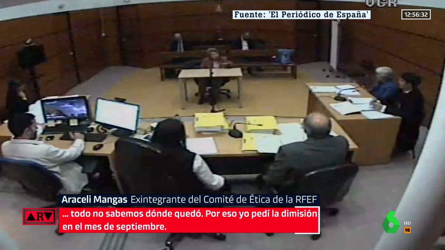 rfef rfef