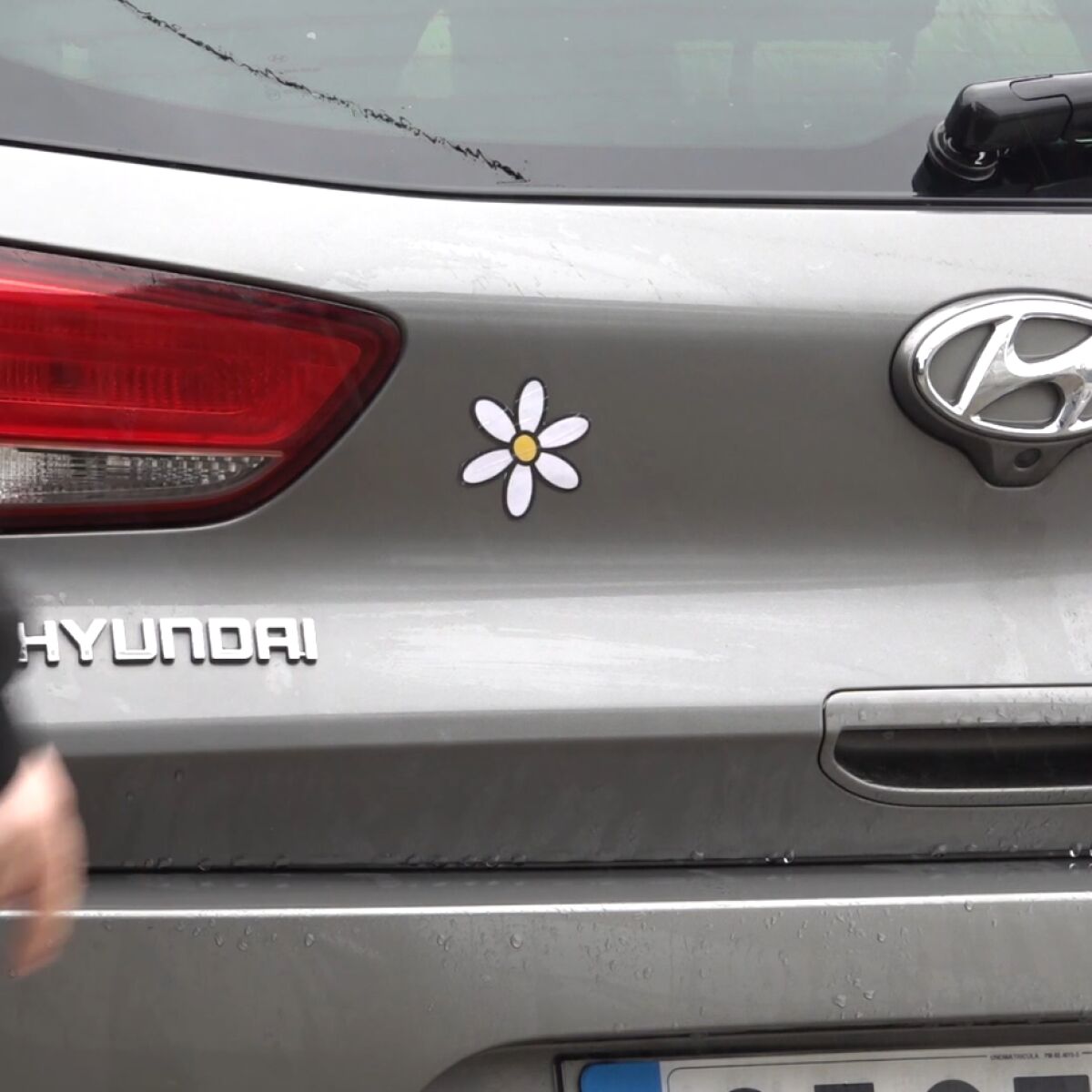 Zonon - 12 hojas de pegatinas de margaritas, 96 piezas de calcomanías autoadhesivas de vinilo retro con flores de mariposa, para coche, camión, parachoques, ventanas, portátiles, decoración de pared