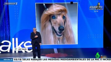 Leo Harlem, sobre los "cuidados excesivos" a los animales: "Hay perros que van a la peluquería más que Carmen Lomana"