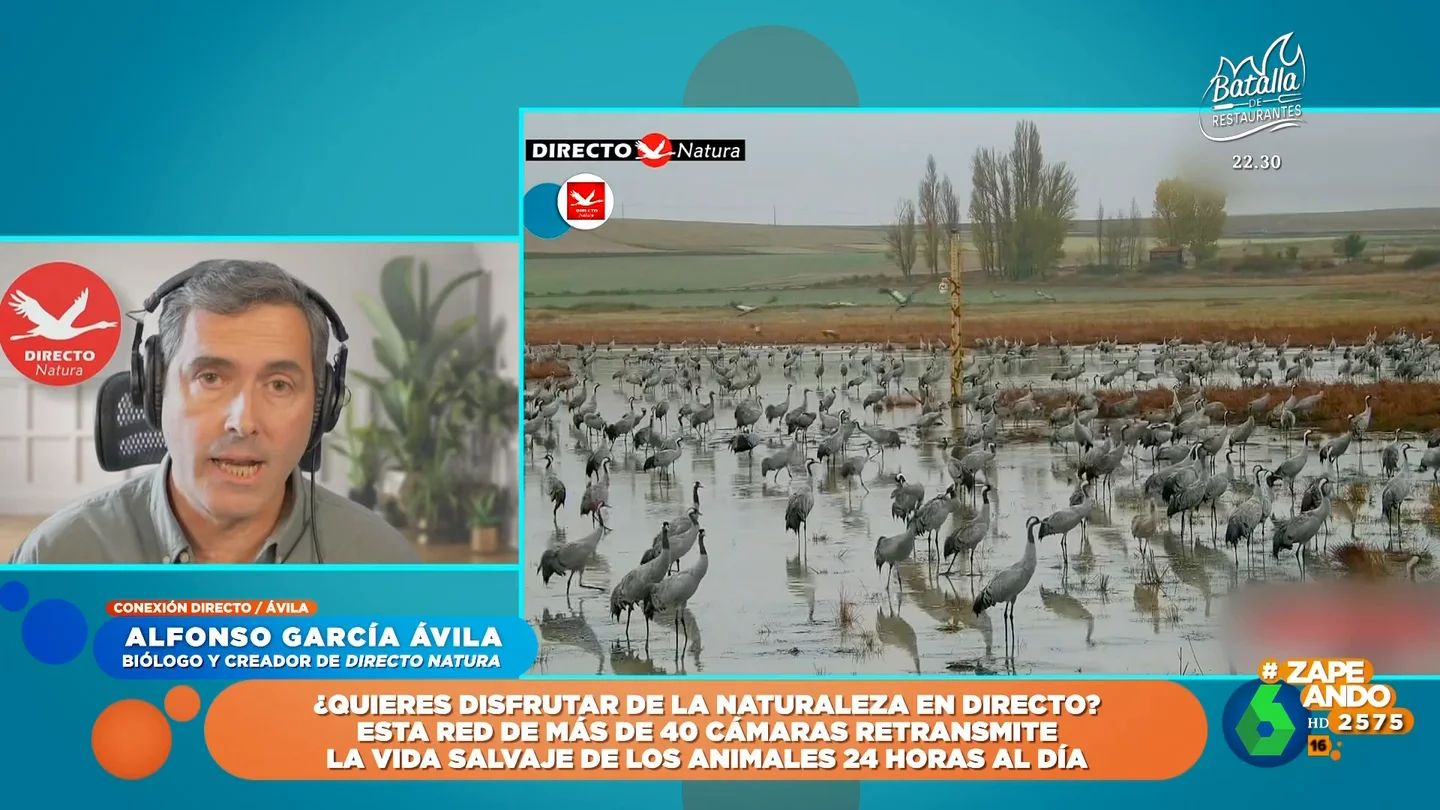 Alfonso García Ávila, creador de 'Directo Natura', cuenta la escena más impactante que han emitido en el canal Alfonso García Ávila, creador de 'Directo Natura', cuenta la escena más impactante que han emitido en el canal