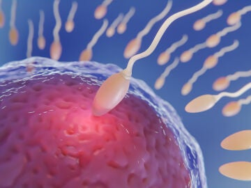 Fertilidad
