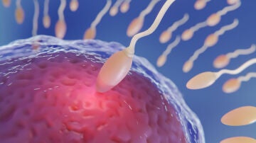 Fertilidad