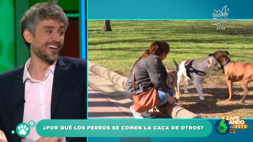El veterinario Víctor Algra explica por qué hay perros que se comen las heces de otros animales