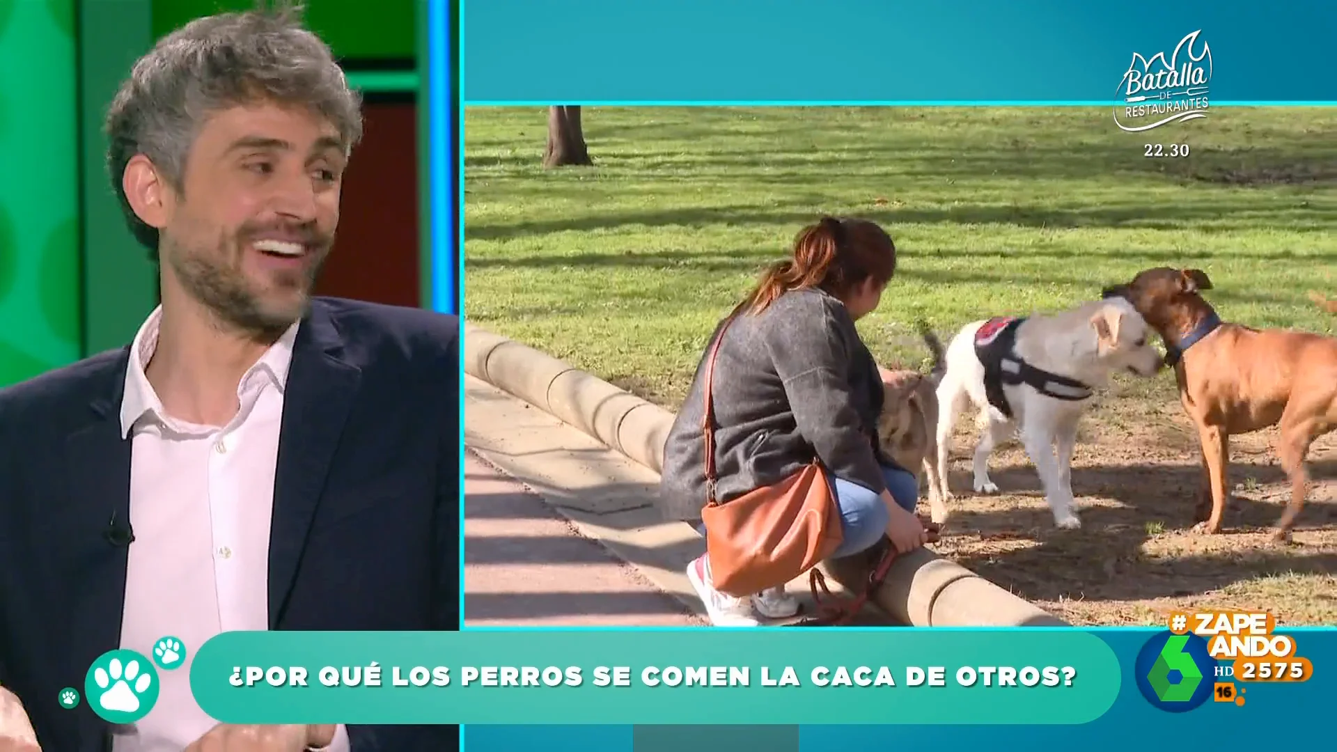 El veterinario Víctor Algra explica por qué hay perros que se comen las heces de otros animales