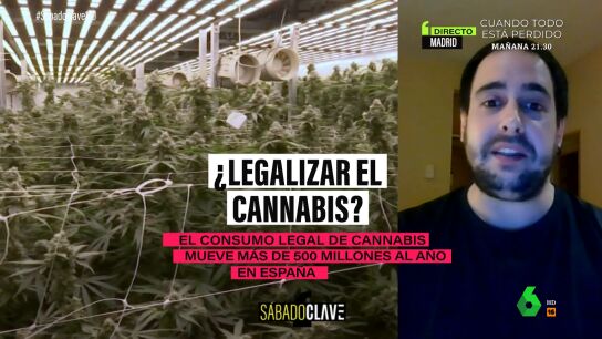 XPLICA JULEN BOLLAIN SOBRE LA LEGALIZACION DE LA MARIHUANA