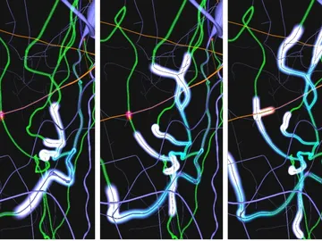 Visualización de actividad neuronal Visualización de actividad neuronal