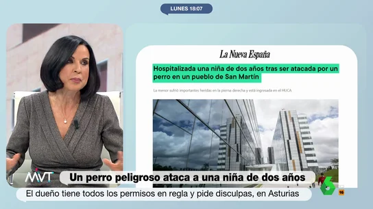 Beatriz de Vicente desvela que un perro le mordió cuando era niña Beatriz de Vicente analiza las responsabilidades legales a las que enfrenta el dueño del perro peligroso que ha mordido a una niña de dos años en Asturias, así como las posibles secuelas de la pequeña. En este vídeo, la abogada cuenta su experiencia.