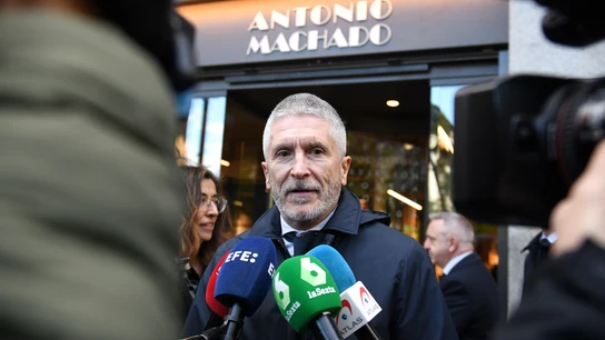 El ministro del Interior, Fernando Grande-Marlaska El ministro del Interior, Fernando Grande-Marlaska