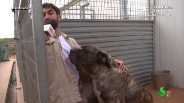 El 'intenso' encuentro de Isma Juárez con 'Tanque', un perro de 78 kilos