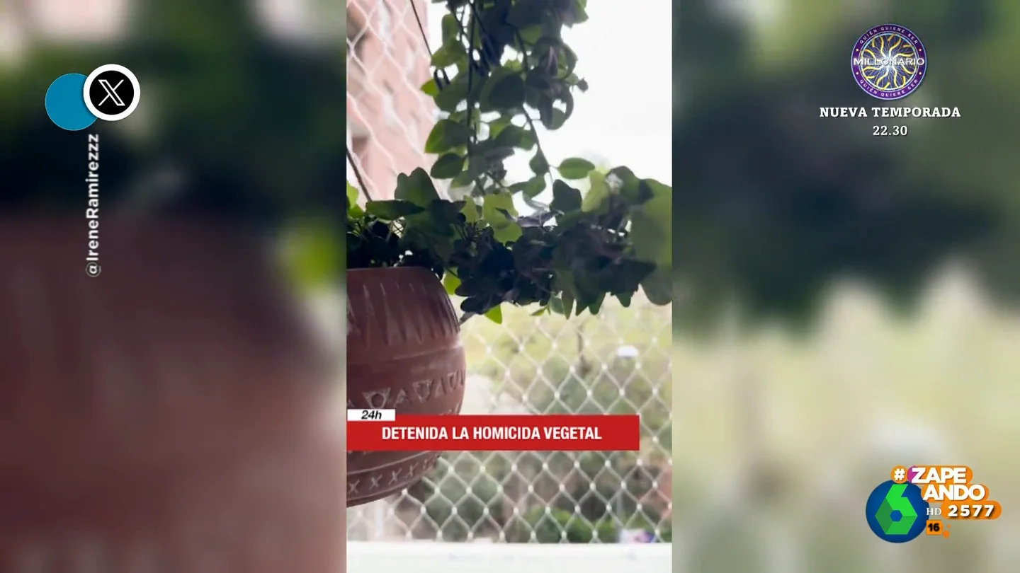 El original vídeo que prepara una chica para explicarle a su hermano la muerte de una de sus plantas El original vídeo que prepara una chica para explicarle a su hermano la muerte de una de sus plantas