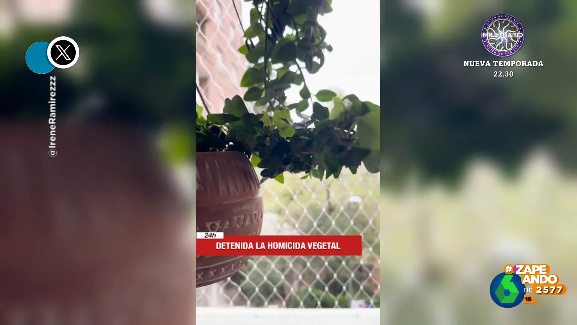 El original vídeo que prepara una chica para explicarle a su hermano la muerte de una de sus plantas