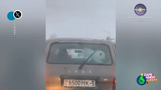 El divertido 'baile' de un perrito mientras persigue un limpiaparabrisas El divertido 'baile' de un perrito mientras persigue un limpiaparabrisas