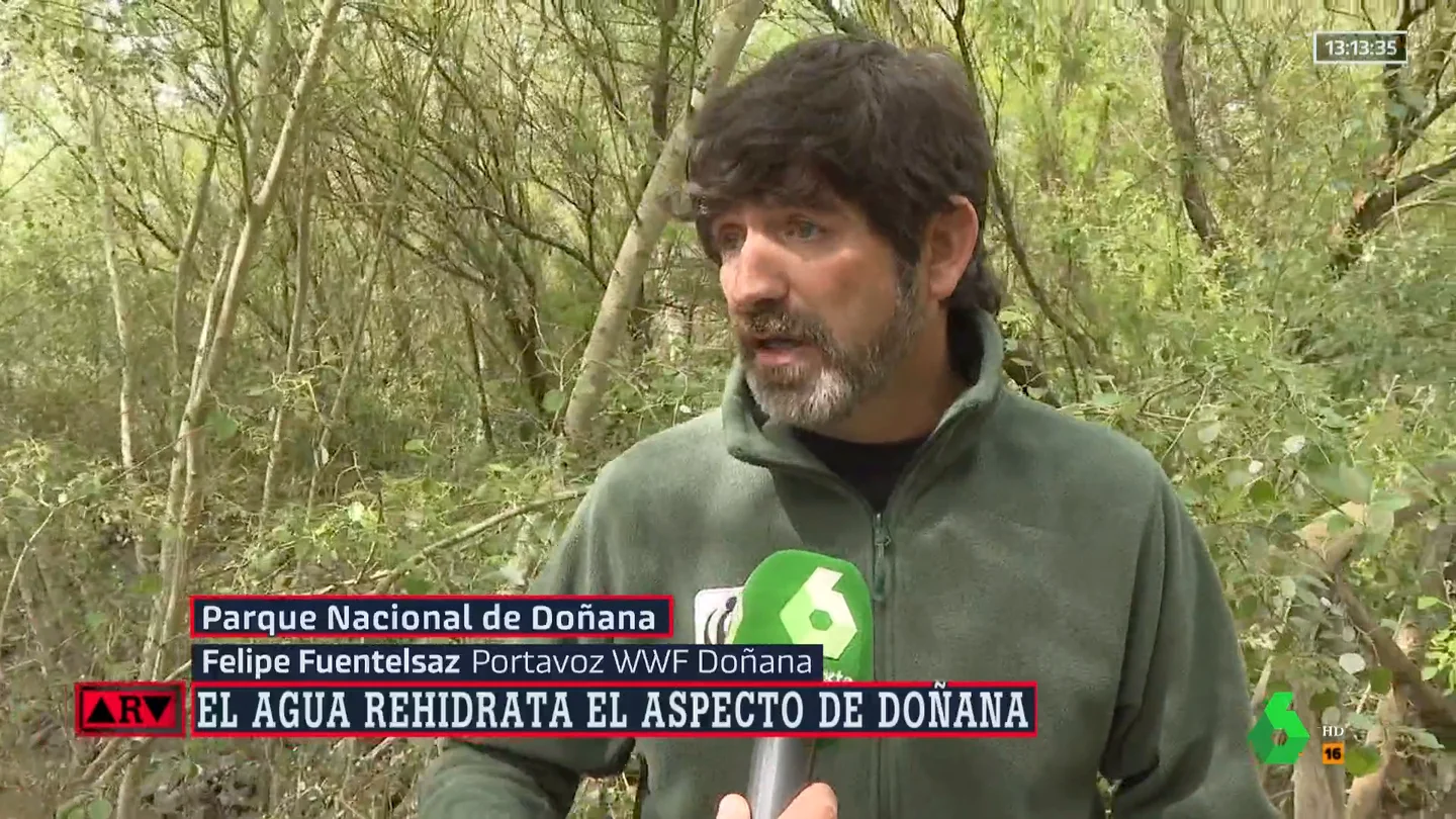 ¿Cómo se encuentra Doñana tras las lluvias de Semana Santa? El portavoz de WWF responde ¿Cómo se encuentra Doñana tras las lluvias de Semana Santa? El portavoz de WWF responde