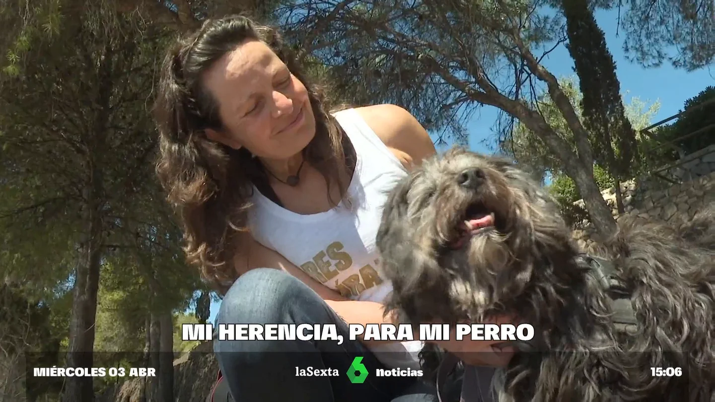 Cuando muera... ¿Podré dejar a mi perro como heredero? Cuando muera... ¿Podré dejar a mi perro como heredero?