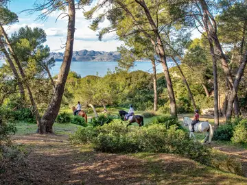 Turismo ecuestre en Mallorca Turismo ecuestre en Mallorca