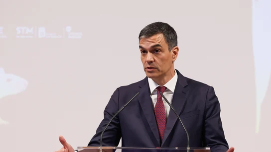 El presidente del Gobierno, Pedro Sánchez, durante su intervención en el acto de inauguración de la exposición 'Luis Martín-Santos. Tiempo de libertad', este jueves en la Biblioteca Nacional en Madrid. El presidente del Gobierno, Pedro Sánchez, durante su intervención en el acto de inauguración de la exposición 'Luis Martín-Santos. Tiempo de libertad', este jueves en la Biblioteca Nacional en Madrid.