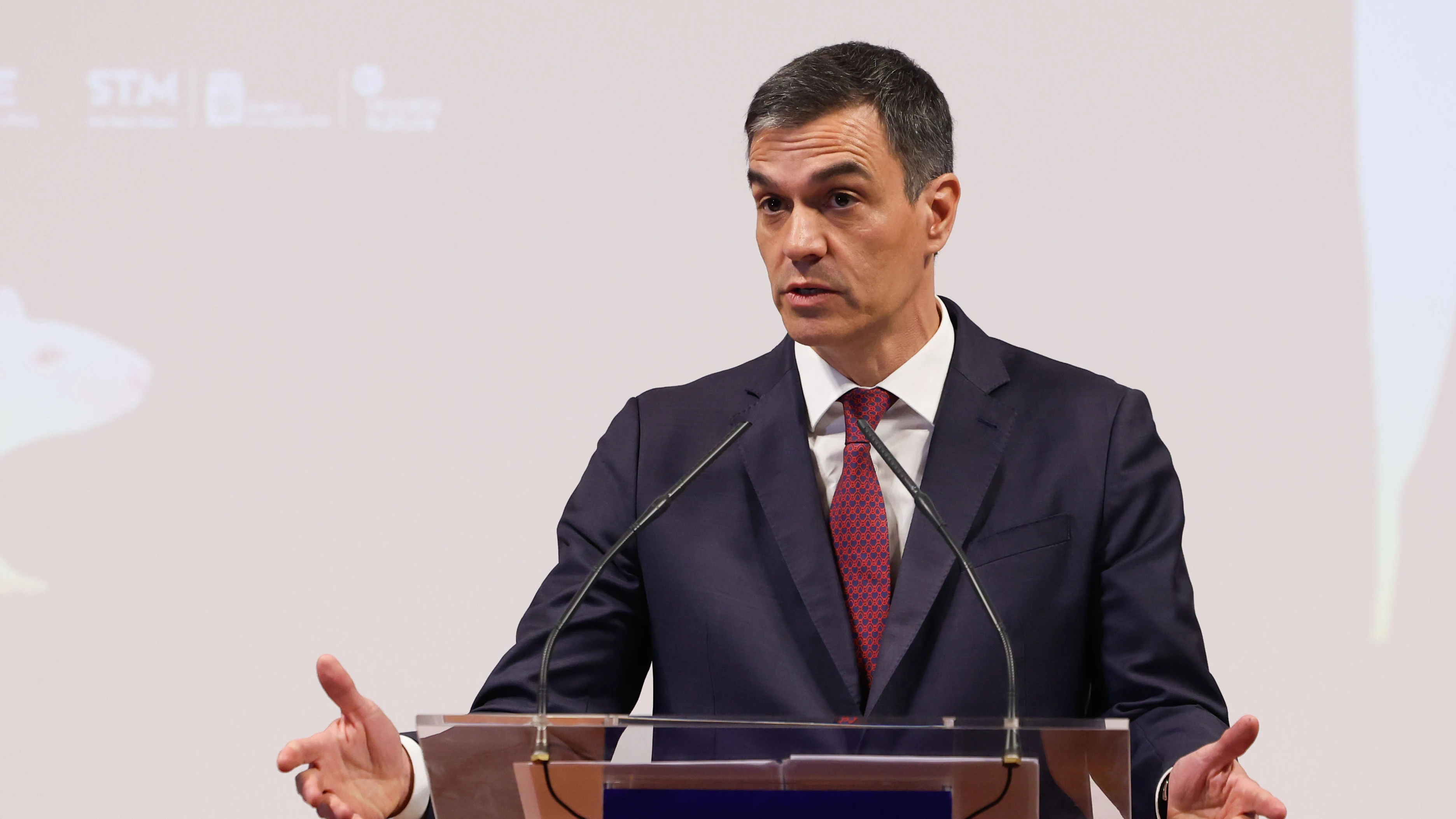 El presidente del Gobierno, Pedro Sánchez, durante su intervención en el acto de inauguración de la exposición 'Luis Martín-Santos. Tiempo de libertad', este jueves en la Biblioteca Nacional en Madrid.