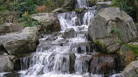 Cascada en Holland Park. Londres Cascada en Holland Park. Londres