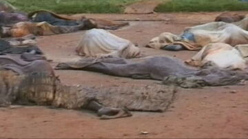 Genocidio de Ruanda
