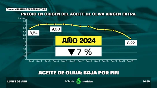 El precio del aceite de oliva baja: las lluvias recientes impactan en el mercado El precio del aceite de oliva baja: las lluvias recientes impactan en el mercado