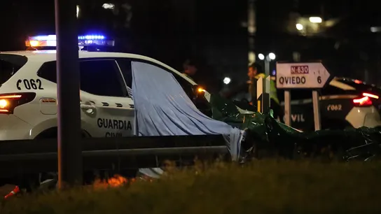 Detenido un hombre de 46 años por matar y decapitar a su padre en Asturias Detenido un hombre de 46 años por matar y decapitar a su padre en Asturias