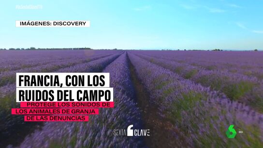 GRANJA FRANCIA