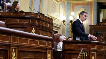 El presidente del Gobierno, Pedro Sánchez, interviene este miércoles en el Congreso