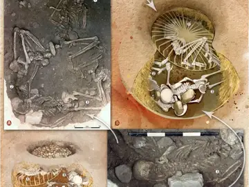 Tumba en el yacimiento de Saint-Paul-Trois-Châteaux Tumba en el yacimiento de Saint-Paul-Trois-Châteaux