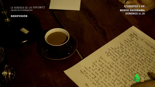 Las cartas de amor de Ernesto Koplowitz a su amante Las cartas de amor de Ernesto Koplowitz a su amante