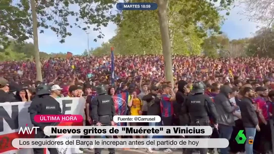 vini vini