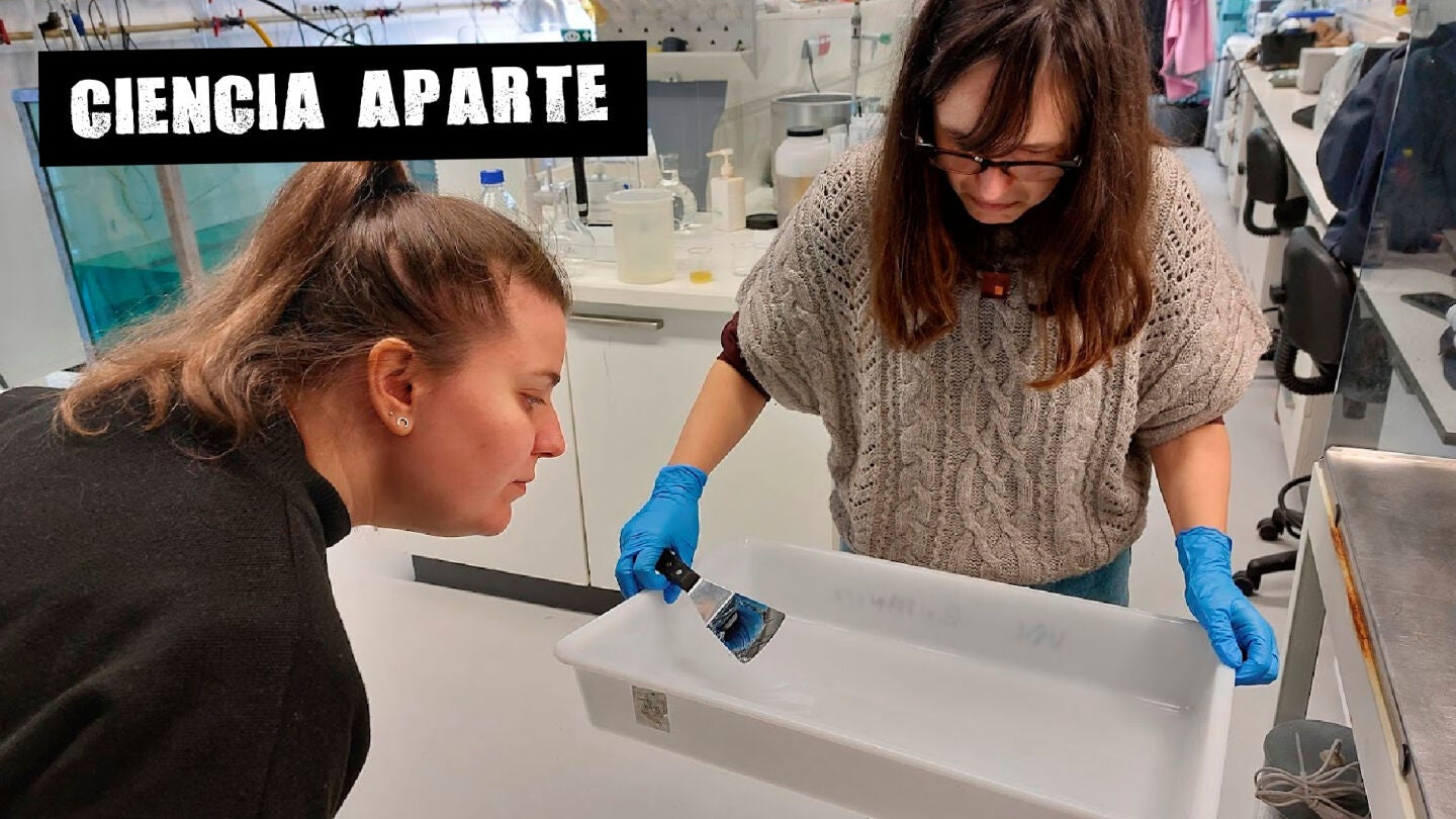 La cient&iacute;fica &Eacute;rika Garc&iacute;a con la artista Ver&oacute;nica Moar en los laboratorios BioCost del CICA.