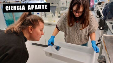 La científica Érika García con la artista Verónica Moar en los laboratorios BioCost del CICA.
