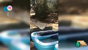 El doloroso aterrizaje de un hombre tras probar un tobogán acuático