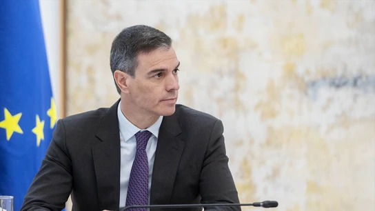 El presidente del Gobierno, Pedro Sánchez, en una foto de archivo El presidente del Gobierno, Pedro Sánchez, en una foto de archivo
